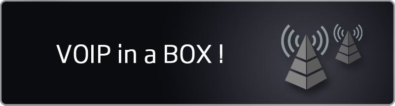 VOIP in a BOX!